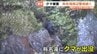 称名滝でクマ被害相次ぐ…遊歩道は19日まで通行止め【過去の出没映像も】町職員と猟友会らが現場周辺を捜索 警戒続く 富山・立山町　|　富山のニュース｜天気・防災｜チューリップテレビ