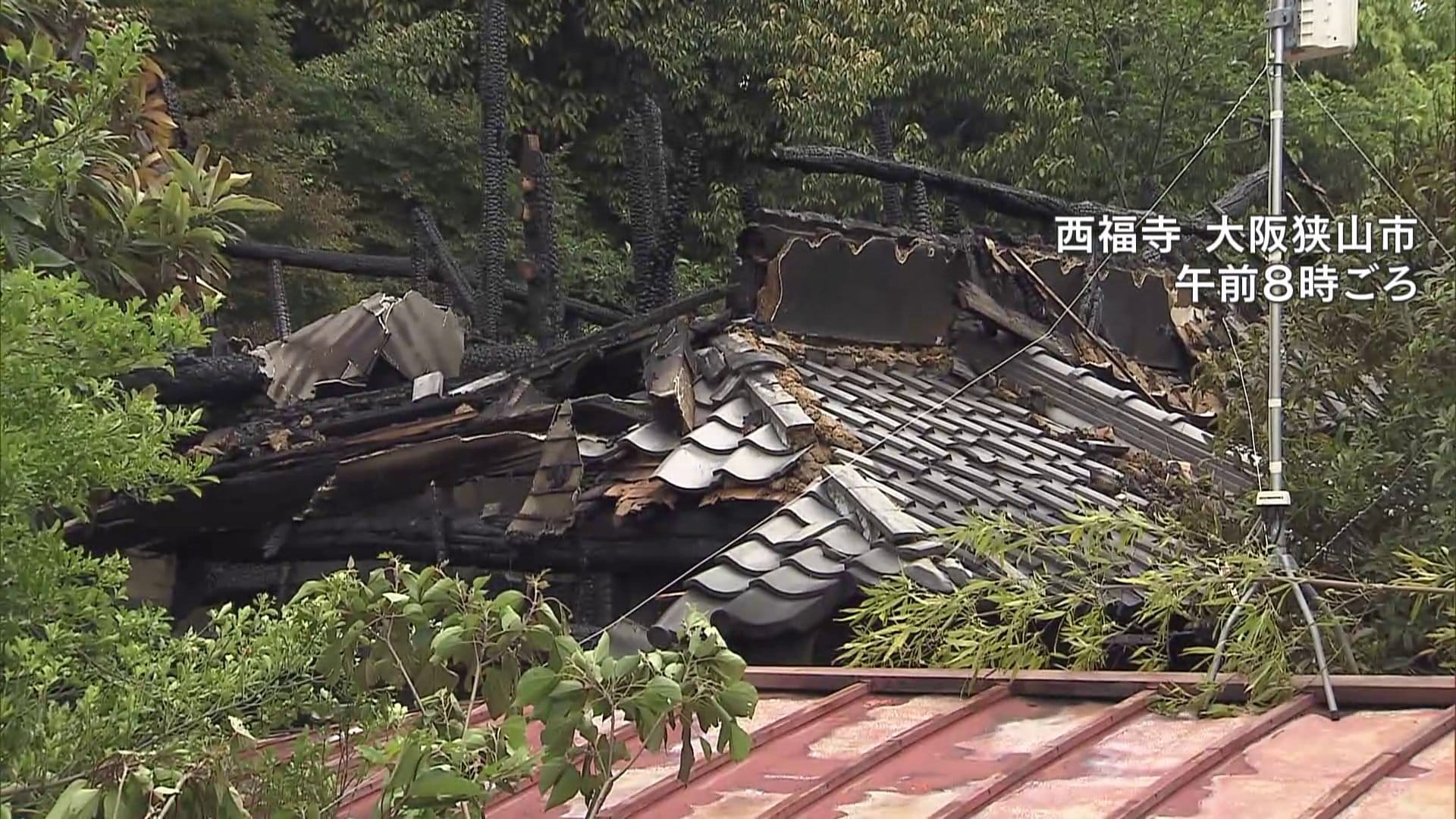 大阪狭山市の寺で火事 本堂が全焼 焼け跡から2人の遺体見つかる 住職夫婦か Tbs News Dig 大阪狭山市の寺で火事 本堂が全焼 焼け跡から2人の遺体見つかる 住職夫婦か Tbs News Dig