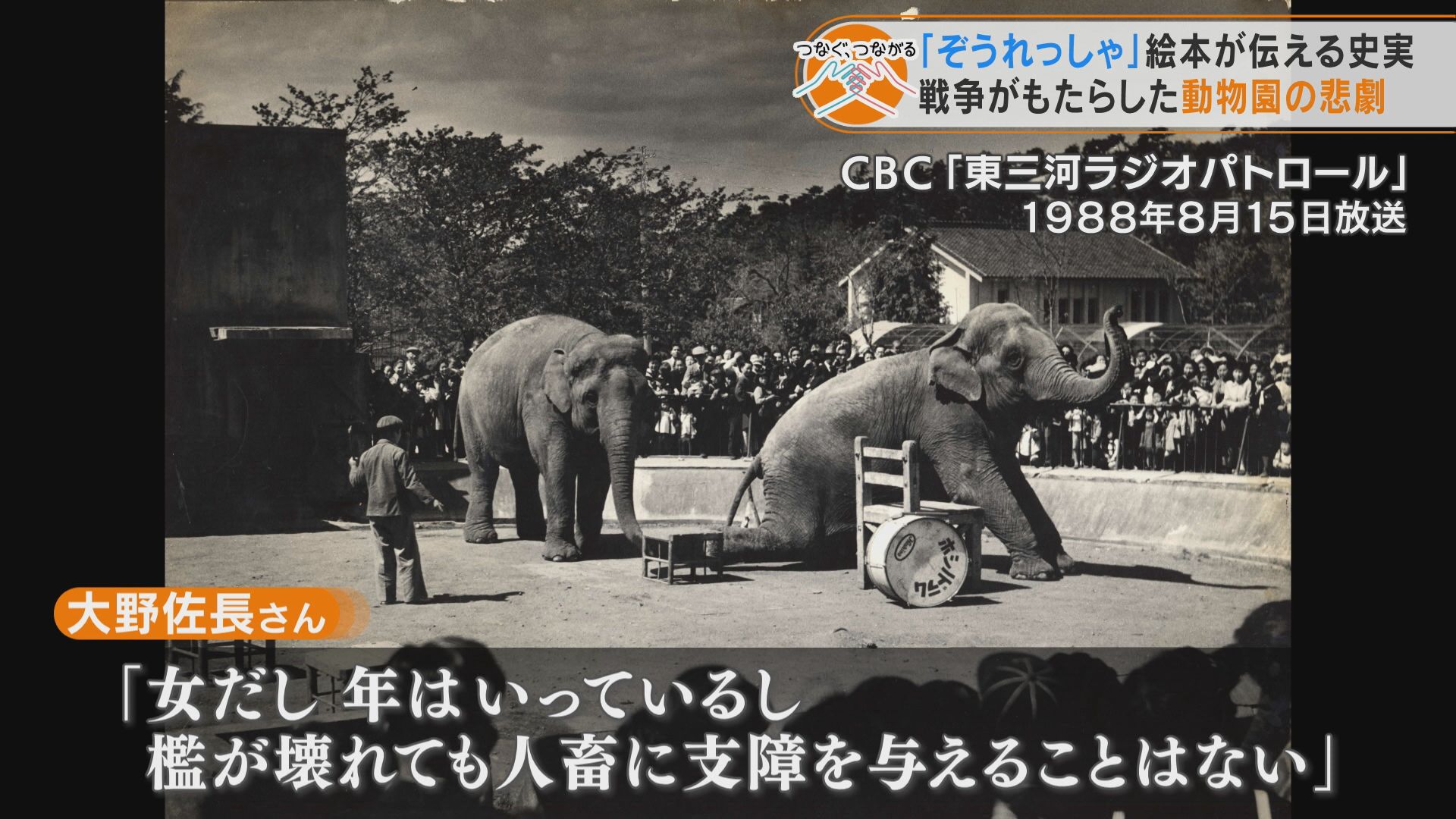 戦時中の動物園に殺処分命令 生き残った 奇跡のゾウ の物語 絵本 ぞうれっしゃ が伝える史実 記事詳細 Infoseekニュース 戦時中の動物園に殺処分命令 生き残った 奇跡のゾウ の物語 絵本 ぞうれっしゃ が伝える史実 記事詳細 Infoseekニュース