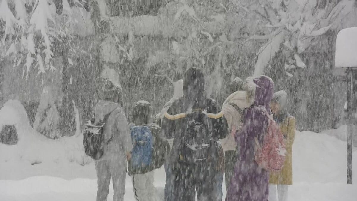 名古屋は今季初の「冬日」に ハトも凍った小川で足滑らせる 岐阜・白