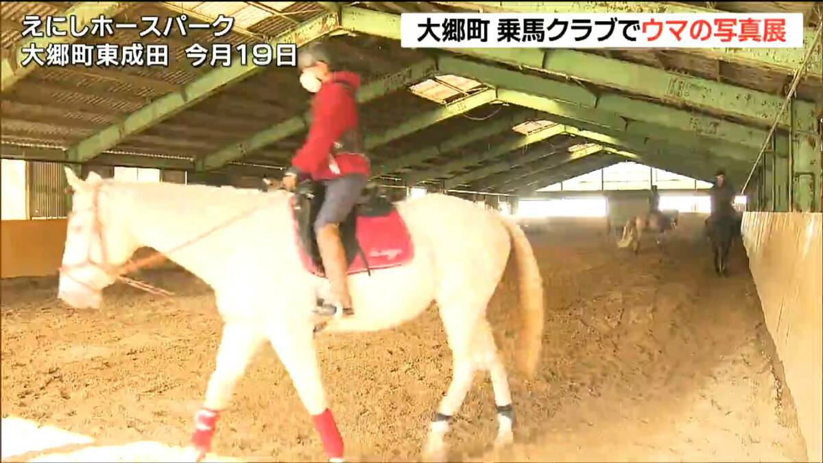 サラブレッドの躍動を捉える 乗馬クラブで飼育されている馬の「写真展