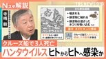 【正しく知るハンタウイルス】致死率約40%の型も…2つの型で症状や致死率に違い 日本での流行リスクは【Nスタ解説】|TBS NEWS DIG