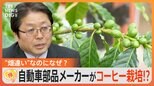 農業経験ないのに…新規事業はコーヒー栽培!?自動車部品メーカーの挑戦 地球温暖化でチャンス?【ゲキ推しさん】|TBS NEWS DIG