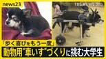 「歩く喜びをもう一度」動物用の“車いす”づくりに挑む大学生 オリジナルパーツで試行錯誤重ね製作「作っては改良」【news23】|TBS NEWS DIG