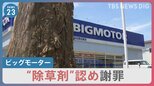 初めて“除草剤使用”認め謝罪 ビッグモーター店舗前で街路樹枯れる問題　不正請求めぐり国が全国一斉に立ち入り検査【news23】|TBS NEWS DIG