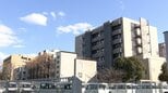「認知症に対する画期的な再生医療へ期待」脳内のグリア細胞を神経細胞へ直接変換 血管性認知症モデルで海馬のダメージ抑制に成功【岡山大学・富山大学】|TBS NEWS DIG