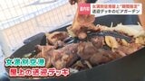 「空が近い」ビアガーデン　空港の屋上で味わうジンギスカン“期間限定”でオープン「旅の締めくくりに北海道のソウルフードを楽しんで」女満別空港　|　北海道のニュース｜HBC北海道放送