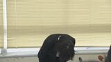 女子トイレに侵入した疑い…給食センター勤務の男を逮捕　「盗撮の目的で女子トイレに入ったことに間違いない」容疑認める　富山・魚津市|TBS NEWS DIG