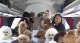 人気集めるペット同伴の観光ツアー「もう最高」白馬村を目指す金沢発のバスツアーには21匹のワンちゃんと23人が参加　信州そばと北アルプスの眺めを満喫　|　SBC NEWS | 長野のニュース | SBC信越放送