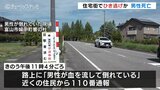 顔と首がつぶれた状態で発見 富山市の住宅街の道路でひき逃げか 富山|TBS NEWS DIG