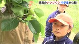 「こんなに大変なことを･･･」中学生がナシづくりを体験　三次市・作木　広島|TBS NEWS DIG