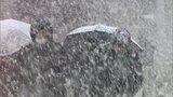寒波・第2波襲来 8日朝にかけてさらに強い寒気が流れ込み大雪のおそれ 九州道も一部通行止め | 福岡のニュース|RKB NEWS|RKB毎日放送