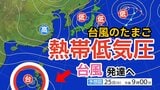 【台風情報】「台風のたまご」熱帯低気圧が発生 きょう(25日)にも台風に発達へ 今後の進路は? 25日(火)~30日(日)雨風シミュレーション&全国各地の16日間天気予報【気象庁 25日午前8時半更新】 |TBS NEWS DIG