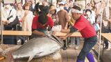 近江町市場「大行燈まつり」開催 迫力あふれる“マグロ解体ショー”に歓声　|　石川県のニュース｜MRO北陸放送