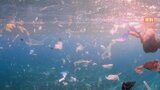 日本海から海水を採取 海洋のマイクロプラスチックごみ 日本財団と東京大学が研究成果を発表|TBS NEWS DIG