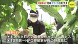 町おこしの救世主は「なす」 特産「狩留家なす」の栽培はじめ10年　ほっぺが落ちそうな味に収穫祭は大盛況　広島　|　RCC NEWS | 広島ニュース | RCC中国放送