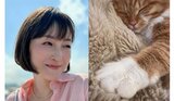 【広末涼子】 「明日から お仕事が始まる方々に…たまにはゆっくりまったりtime」 愛猫の写真と共にファンへメッセージ|TBS NEWS DIG