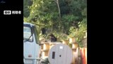 住宅近くへのクマの出没続く 盛岡市では会社裏の山林や明治橋下流の北上川河川敷でも|TBS NEWS DIG