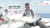 「釣り界のレジェンド」降臨 確率5%の魚を釣り上げろ!土佐沖で目指す新たな“レジャーフィッシング”とは | 高知のニュース・天気|KUTV NEWS | KUTVテレビ高知