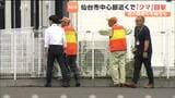 【映像あり】仙台の住宅地でクマ目撃 猟友会が警戒にあたり緊張が走る 気仙沼では山林の斜面を登っていたクマの目撃も | 宮城のニュース│tbc NEWS│tbc東北放送