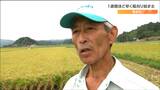 「生産者とすれば、そんなに影響がないのでは」コメ不足の中、稲刈り始った生産者の手ごたえは 宮城・角田市|TBS NEWS DIG