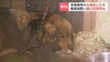“多頭飼育崩壊”脱走した犬が約30キロ離れた養鶏場を襲撃し鶏208羽死ぬ 元の飼い主の男性(76)「被害の実態がわかれば…」弁償の意思 | 北海道のニュース|HBC北海道放送