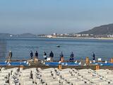 生後1か月以内か 海に浮いた女の赤ちゃんを釣り人が発見 搬送後死亡確認 (愛媛・松山市) | 愛媛のニュース - Nスタえひめ|あいテレビは6チャンネル