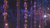 「ちとせ花ひろばイルミネーション」開催 大分・豊後大野市 | 大分のニュース|OBS NEWS|大分放送