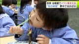 夢中でほおばる“秋の味覚” 幼稚園で「イワシ焼き大会」八戸港でとれたマイワシ約200匹が用意されて園児たちが「おいしくな~れ」 こんがりととっても上手に焼けました! | 青森のニュース│ATV NEWS│青森テレビ