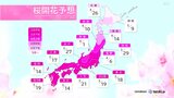 桜開花予想2023 トップは高知・福岡で14日…東京18日、大阪21日 満開はいつ?(日本気象協会3月2日発表) | 高知のニュース・天気|KUTV NEWS | KUTVテレビ高知