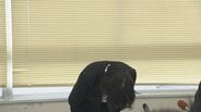 女子トイレに侵入した疑い…給食センター勤務の男を逮捕　「盗撮の目的で女子トイレに入ったことに間違いない」容疑認める　富山・魚津市　|　富山のニュース｜天気・防災｜チューリップテレビ