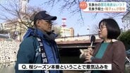 富山・松川べりで桜開花！平年より9日早く　気象台の発表は「あさって？」気象予報士が予想すると…　|　富山のニュース｜天気・防災｜チューリップテレビ
