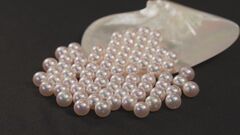 2023年の農林水産物・食品の輸出額　11年連続で過去最高を更新| TBS CROSS DIG with Bloomberg