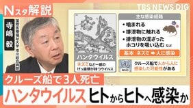 “ヒトからヒトへ”感染か　ハンタウイルスで3人死亡　致死率約40％の型も…日本での流行リスクは【Nスタ解説】|TBS NEWS DIG