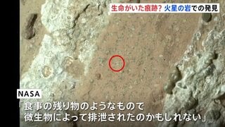 火星に生命がいた痕跡? NASA発表 火星探査車が去年採取した岩に「古代生命の痕跡」の可能性| TBS CROSS DIG with Bloomberg