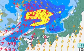 【大雨情報】春に3日の晴れなし⋯しばらくは雨続き？週末は再び各地に発達した雨雲が流れ込む予想(7日から17日までの雨風シミュレーション)|TBS NEWS DIG