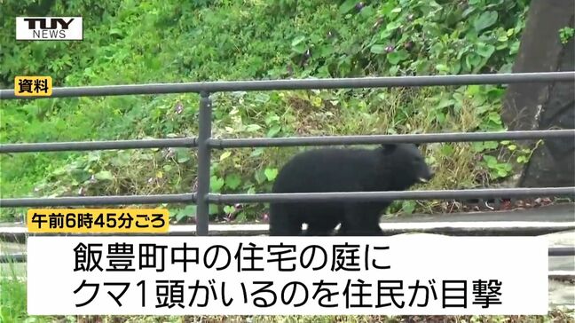 クマが木の上で柿を食べる→麻酔銃を撃ち落ちてきたクマを捕獲　県内でクマの目撃相次ぐ（山形）|TBS NEWS DIG