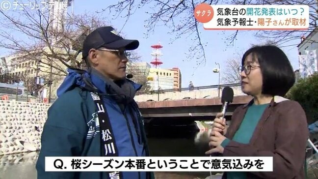 富山・松川べりで桜開花！平年より9日早く　気象台の発表は「あさって？」気象予報士が予想すると…|TBS NEWS DIG
