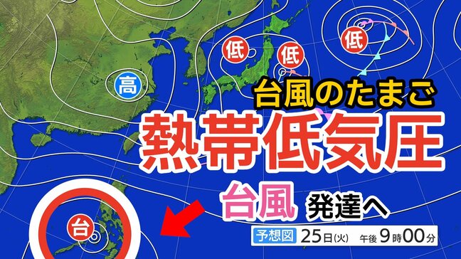 【台風情報】「台風のたまご」熱帯低気圧が発生　きょう（25日）にも台風に発達へ　今後の進路は？　25日（火）～30日（日）雨風シミュレーション＆全国各地の16日間天気予報【気象庁 25日午前8時半更新】	|TBS NEWS DIG