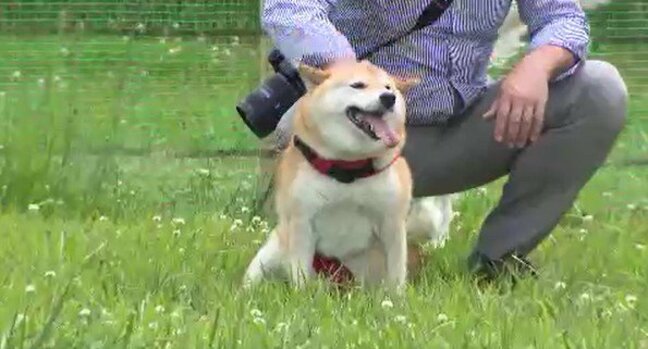 河川敷の空き地を活用！公園の魅力アップ目指し　長野市が「ドッグラン」を開設|TBS NEWS DIG