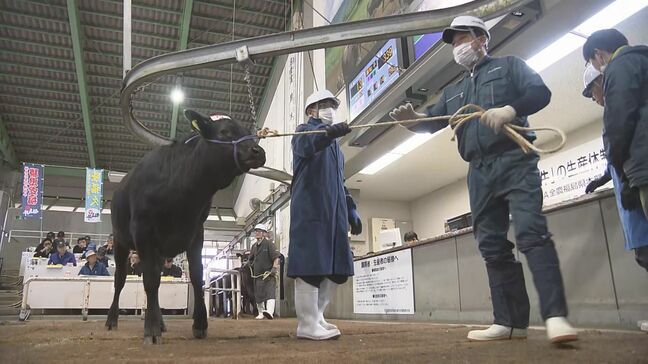 繁殖農家減少、エサ代高止まりで…今年度初の和牛セリ、前年度比14万円↑　福島|TBS NEWS DIG