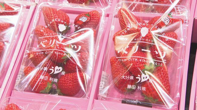 大分県産イチゴ「ベリーツ」出荷額7億6000万円まで成長 躍進の舞台裏|TBS NEWS DIG