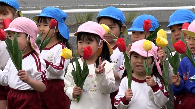 「赤と黄色がきれいだった」幼稚園児が1,800株が咲き誇るチューリップ畑を訪問【岡山・浅口市】|TBS NEWS DIG