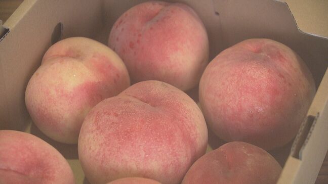 飯坂温泉で「日本一の桃まつり」あかつき2キロ1000円で販売　福島|TBS NEWS DIG