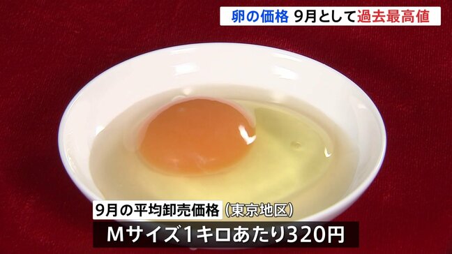 卵の平均価格 9月として過去最高値 Mサイズ1キロあたり320円 鳥インフルエンザの影響|TBS NEWS DIG