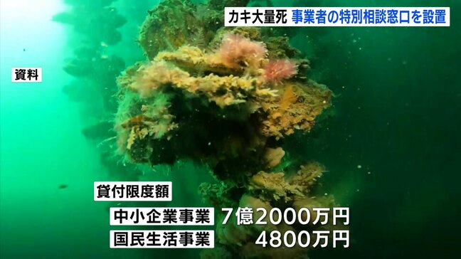 カキ大量死問題 カキ関連事業者の資金繰りの相談窓口設置 政府の支援策に対応 中国経済産業局|TBS NEWS DIG