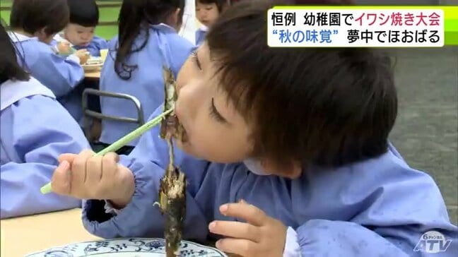 夢中でほおばる“秋の味覚” 幼稚園で「イワシ焼き大会」八戸港でとれたマイワシ約200匹が用意されて園児たちが「おいしくな~れ」 こんがりととっても上手に焼けました!|TBS NEWS DIG