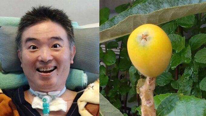 【 ALS闘病 】声優・津久井教生さん　「鳥さんとらないでね♡」初めて育てるベランダの“びわ”の成長に喜び「しっかり口で味わいます」【ニャンちゅう】|TBS NEWS DIG
