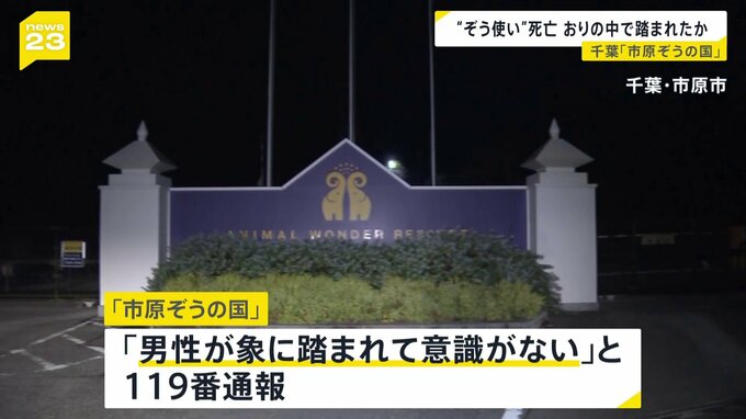 千葉・市原ぞうの国でタイ国籍の“ぞう使い”死亡　おりの中で象に踏まれたか|TBS NEWS DIG