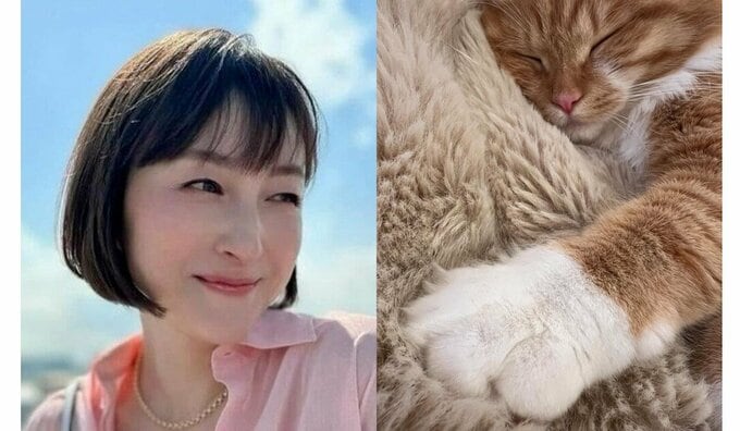 【広末涼子】　「明日から お仕事が始まる方々に…たまにはゆっくりまったりtime」　愛猫の写真と共にファンへメッセージ|TBS NEWS DIG